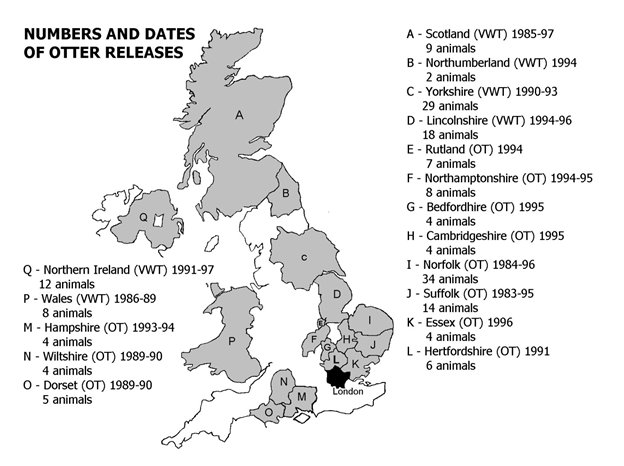 Map of the United Kingdom showing the counties in which otters were released plus the dates and number of otters released in each county, as in Table 1.  Click for larger version