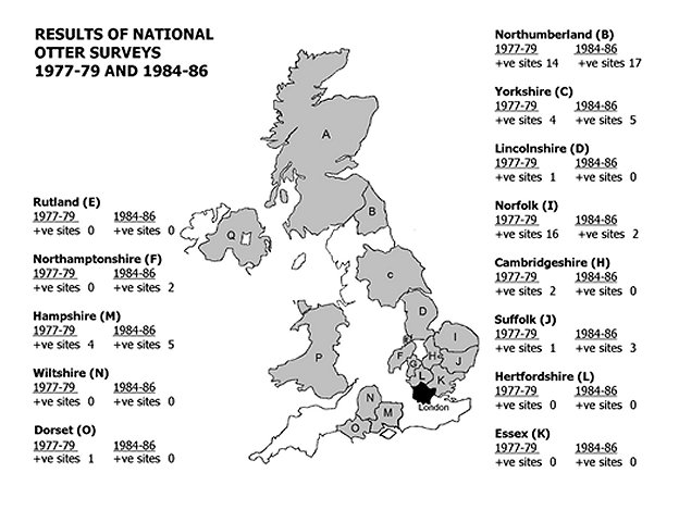 Map of the UK showing the same areas as Figure 1 with the number of positive sites for otters in 1977-79 and in 1984-86.
Northumberland (14 positive sites in 1977-79 to 17 in 1984-86); 
Yorkshire (4 to 5); 
Lincolnshire (1 to 0); 
Norfolk (16 to 2);
Cambridgeshire (2 to 0);
Suffolk (1 to 3);
Hertfordshire (0 to 0);
Essex (0 to 0);
Rutland (0 to 0);
Northamptonshire (0 to 2);
Hampshire (4 to 5);
Wiltshire (0 to 0);
Dorset (1 to 0).
Click for larger version.