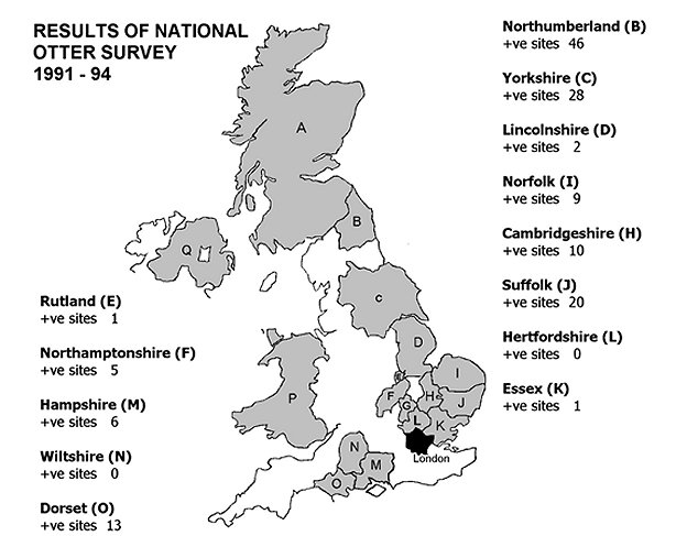 Map of the UK showing the same areas as Figures 1 and 2 with the number of positive sites for otters in 1991-94
Northumberland (46 positive sites); 
Yorkshire (28); 
Lincolnshire (2); 
Norfolk (9);
Cambridgeshire (10);
Suffolk (20);
Hertfordshire (0);
Essex (1);
Rutland (1);
Northamptonshire (5);
Hampshire (6);
Wiltshire (0);
Dorset (13).
Click for larger version.