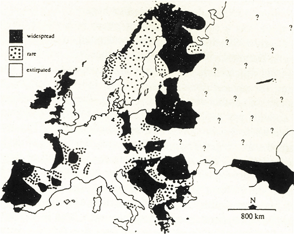 Map of Europe showing otters widespread in Finland, north Norway, Latvia, Estonia, Lithuania, East Germany, Some parts of Austria and Hungary, The Caucasus, Southern Greece, Romania, Yugoslavia, Western Spain and Portugal, Western France and the Massif Central, Devon/Cornwall, Wales, Ireland and Scotland.  Otters are shown as rare in the rest of Spain and central France, Some parts of Italy, the rest of the Balkans, Sweden and Norway, and as effectively extirpated in England, West Germany, northern and eastern France, Switzerland and most of Italy. Distribution in Russia is unknown. 
