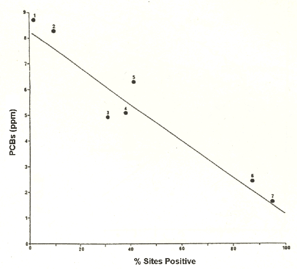Graph plotting PCB concentration against precentage of sites positive for otter sign from large scale national surveys; a very clear linear corelation can be seen - where PCBs are low, high percentages of positive sites are seen, while high PCB concentrations are associated with few or no positive sites. 