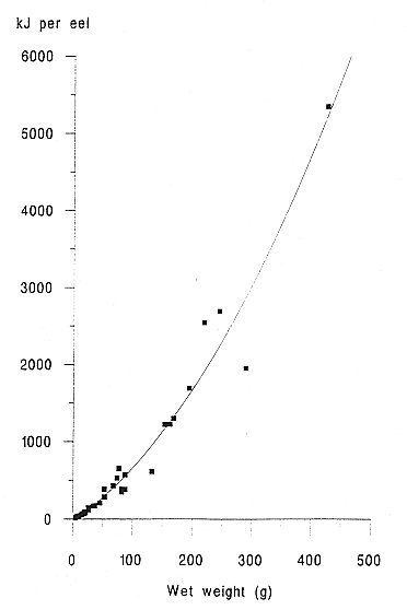 Graph plotting eel size against energy content in kJ/g.  Graph slopes slowly at first, and then more steeply as eels become bigger.Click for larger version