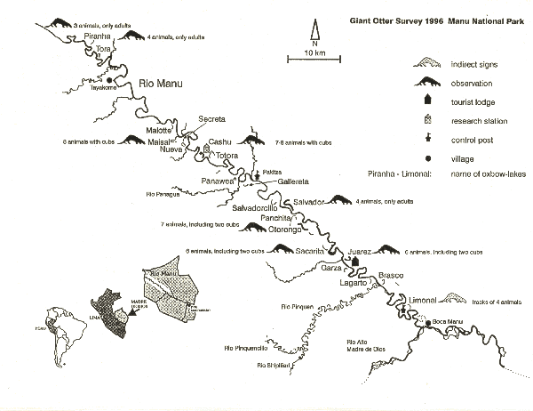 Inset map shows the postion of Peru on the west side of South America, the position of Madre de Dio province on the east side of Peru, and the Rio Manu bisecting the province north-west to south-east.  The main map shows the course of the Madre de Dios, with its oxbow lakes and tributaries.  The research station is about two thirds of the way up (north-west).  The tourist lodge is a third of the way up. The control post is halfway up the river. The positons of the otter observations and otter sign are shown, as are the villages. The Rio Pinquen is a large tributary on the west side, below the tourist lodge.  