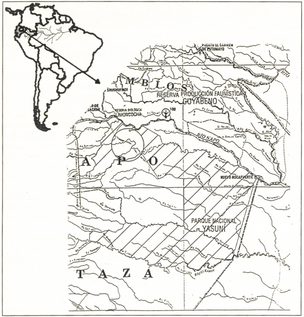 Inset map of South America showing the position of Ecuador on the west coast, and the study are in the middle of the country somewhat toward the north.  Main map shows detail of the region with the actual study area and the rivers it encompasses circled.
