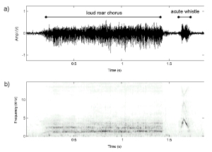 Sonograms of the vocalisations during the encounter