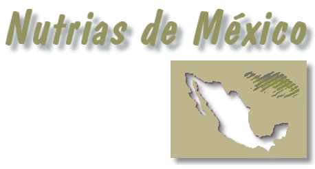 Nutrias de Mexico logo plus outline of Mexico and an otter