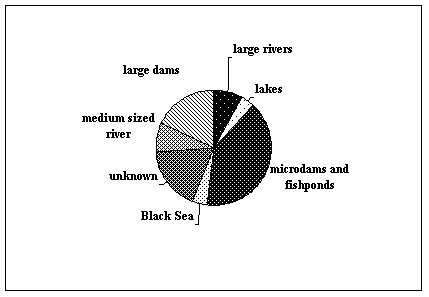 Pie Chart: Mortality by Habitat Type
Fish Farms 40%
Large Dams 18%
Unknown Location 18%
Large Rivers 8%
Medium Rivers 8%
Lakes 4%
Black Sea 4%