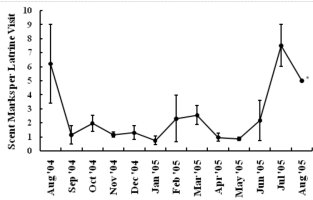 Graph showing mean number of scats per latrine by month, showing peaks in August of both years surveyed