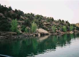 River bank in semi-arid environment with scrub and rocks