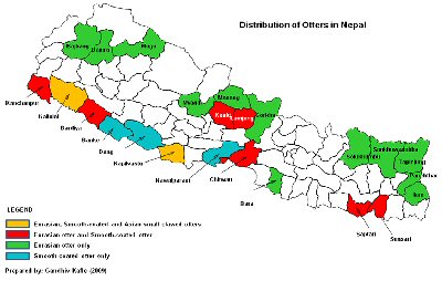 Map of Nepal showing the distribution of the three species of otter found in the country.  Click for larger version