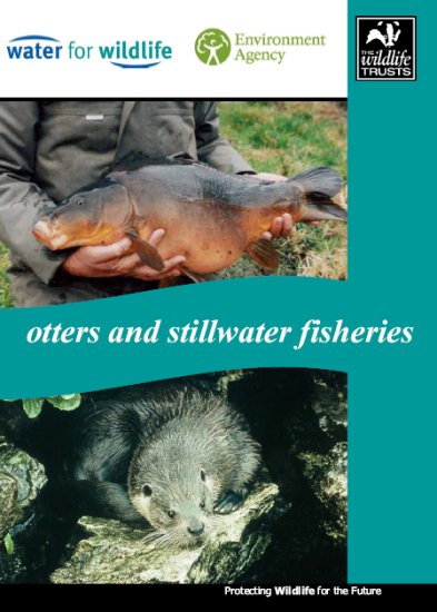 Report on otters and stillwater fisheries