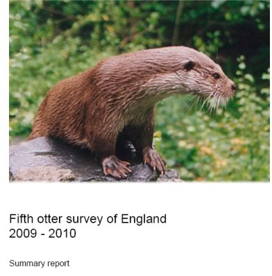Fifth Otter Survey of England 2009 - 2010 