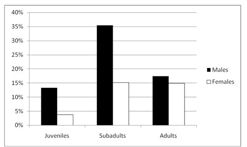 Graoh showing that in all age clases, more males than females were captured; in the case of juveniles and subadults, more than twice as many males as females