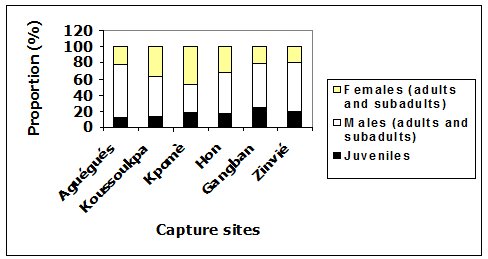 Graph showing that the greatest proportion of males were caught at Aguegues and fewest at Kpame, and the most females were caught at Kpame; the most juveniles were caught at Gangban