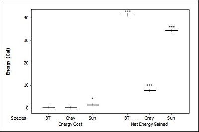 Graph plotting energy 
              cost and energy gained for each prey species for dead prey.  Click for larger version