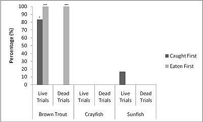 Graph showing otters in captivity
              strongly preferred trout over the other prey species both alive and dead if all prey are of the same size.  Click for larger version.