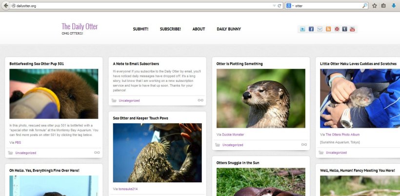 Screen shot of home page of The Daily Otter
