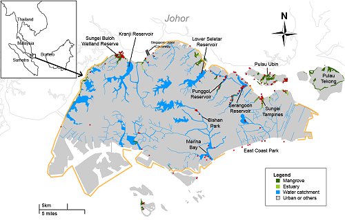 Map of Singapore showing the rivers, reservoirs and wetland areas, mangroves and estuaries. Otter sightings are marked in those areas where observations were possible; much of the coast has restricted access. The coast of Malaysia is shown, indicating the narrow channel (1-5 km) of the Straits of Johore between the two countries on the north side of the island.  The two Singaporean islands in the strait are on the north east side, Pulau Ubin being longer east-west, and the more easterly PUlau Tekong being approximately round.  An inset shows the position of Singapore at the southern end of the Malay peninsula, with Sumatra to the west and Borneo to the east. Click for larger version.  