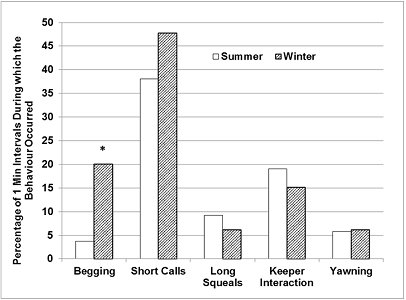 Chart showing that in winter, begging was observed far more frequently than in summer, and short calls were somewhat more prevalent.  Long squeals and keeper interaction was a little more commonly seen in summer and yawning was consistent throughout. Click for larger version.