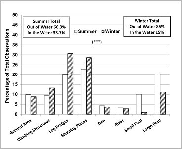 Chart showing that in winter, the otters spend more time on the log birdges, and sleeping places, being in the water in only 15% of observations, while in the summer, they spent more time in the water, being in for 34% of observations.  Click for larger version.