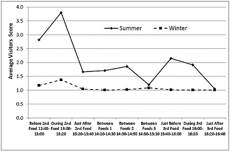 Chart showing that winer visitor numbers are less than half summer numbers, and that both peak at during second  feed and just before third feed; both are low between 14:50 and 15:10. Click for larger version.