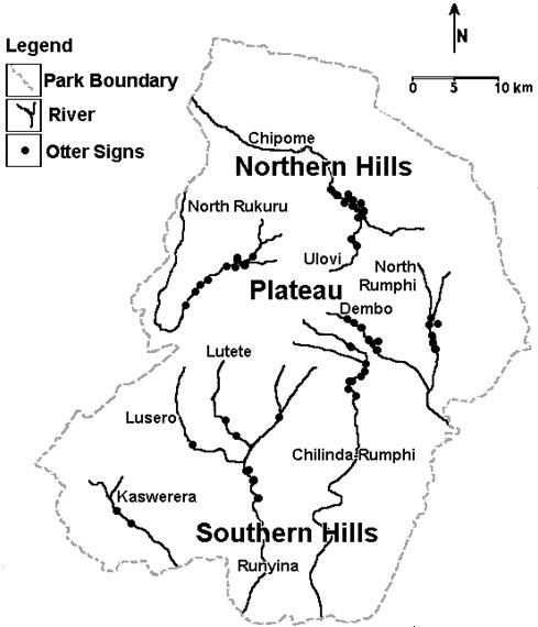Sketch map of the Nyika National Park with the Northern Hills, central plateau and Southern Hills running east west across it.  The Northern Hills are drained by the Chipome river and its tributary the Ulovi; Otter sign is shown on the upper Chipome and middle Ulovi. The plateau is drained by the North Rukuru, with otter sign along the upper half, The North Rumphi, with otter sign on the middle section and the Dembo with otter sign on the upper half. The Chilindra-Rumphi river runs north-south, and there is otter sign on the north (upper) part on the plateau.  The Southern Hills are drained by the Kaswerera, with otter sign, and the Runyina, with its tributaries including the Lusero and Lutete; all show otter sign. Click for a larger version.