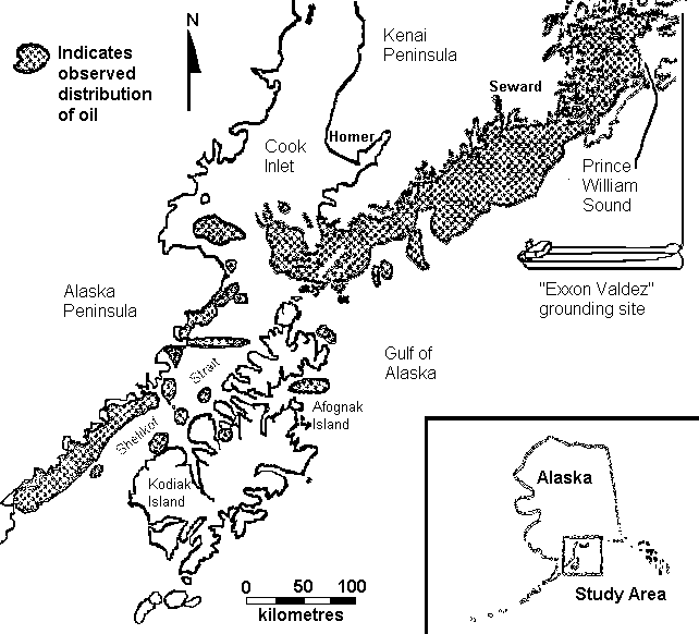 Map of south west coast of Alaska, showing oil spill down coast, with outlier southwest of Kodiak Island