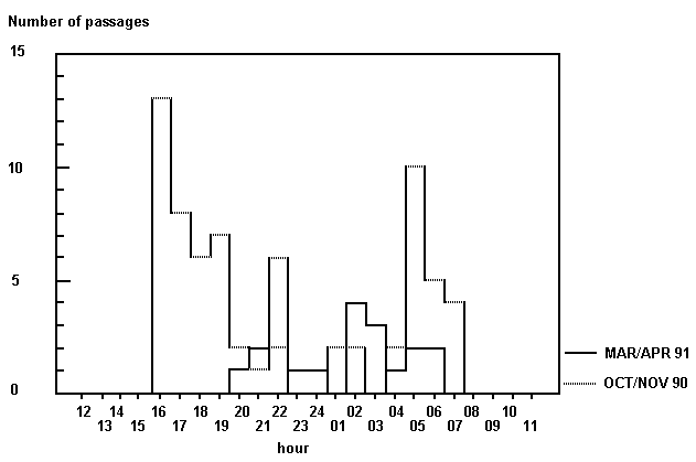 Graph showing more otter activity in Autumn than Spring, especially shortly after dusk and before dawn