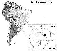 Map of South America in Peru near the border with Brazil and Bolivia