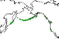 Click to see more detailed map of the North Pacific showing sea otters found around the Kuril Islands and South Kamchatska, the Commander Islands, the Aleutian chain, Kodiak Island, Prince William Sound, the Alexander Islands, Victoria Island and Monterey, California.